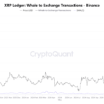 XRP Whale Binance Deposits Skyrocket: Key Holders Preparing For Profit-Taking?