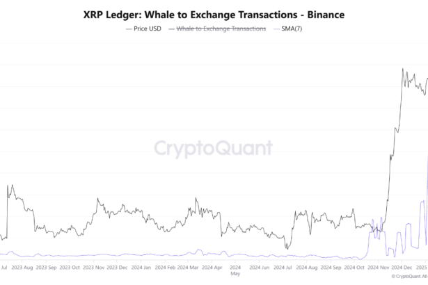 XRP Whale Binance Deposits Skyrocket: Key Holders Preparing For Profit-Taking?