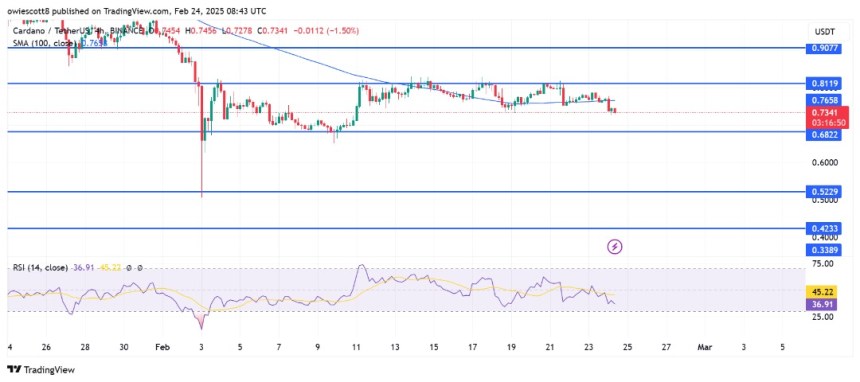 ADA Charts Turn Bearish – Technical Indicators Signal More Pain Ahead