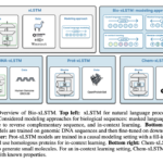 Bio-xLSTM: Efficient Generative Modeling, Representation Learning, and In-Context Adaptation for Biological and Chemical Sequences