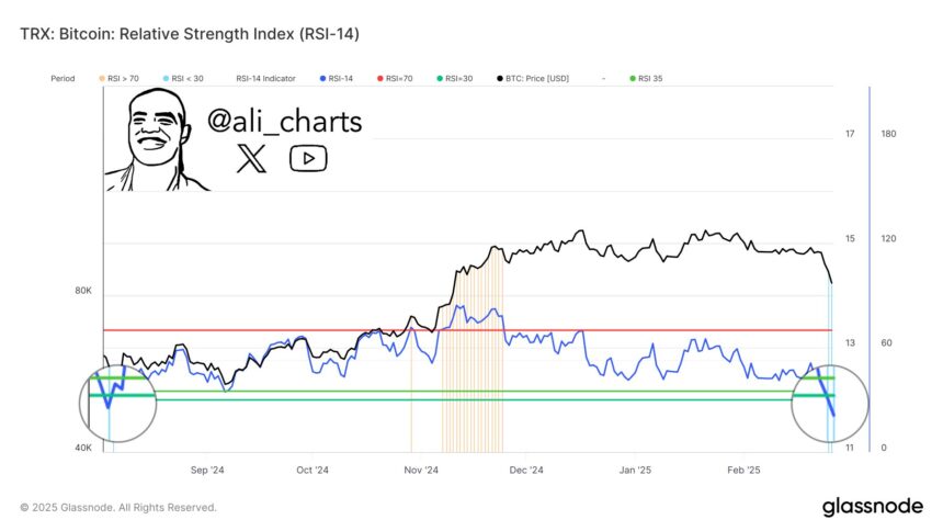 Bitcoin Hits Its Most Oversold Level Since August 2024 – Is A Rebound Coming?