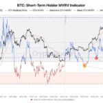 Bitcoin Indicator Signals Short-Term Holders Have Been Taking Profits – Is The Next Rally Near?