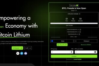 Bitcoin Lithium Set to Cross $1 in 2025 for High ROI Yield