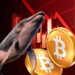 Bitcoin Whale Lost $14M Amid Recent Crypto Market Crash 