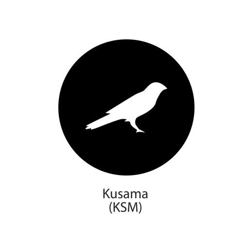 Buy Kusama: A Comprehensive Guide on How to Buy KSM – Best Exchanges & Brokers