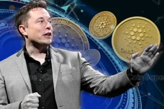 Cardano Price Analysis: Will Elon Musk Put US Treasury on ADA Blockchain?