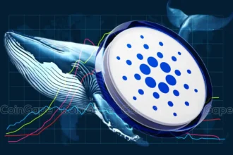 Cardano Price At Risk As ADA Whales Offload 330 Million Coins