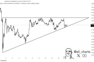 Cardano Remains In Consolidation – Expert Projects 25% Price Move