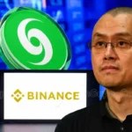 Changpeng Zhao Calls Binance Listing Process Broken After TST Token Saga