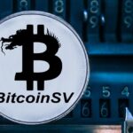 Complete Guide to Managing Bitcoin SV (BSV) Tokens in Your Wallet