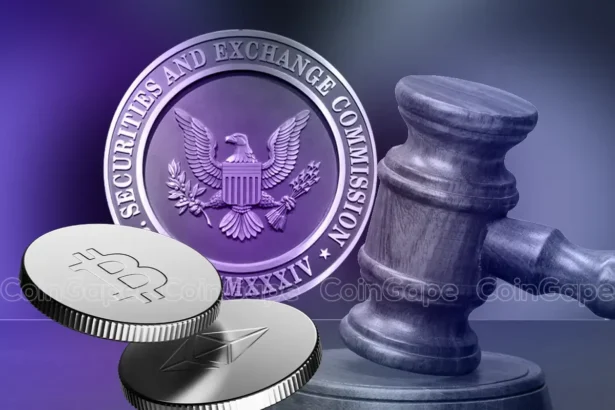 Crypto Lawsuits: Ex-SEC Official Criticizes Agency over Shifting Regulatory Stance