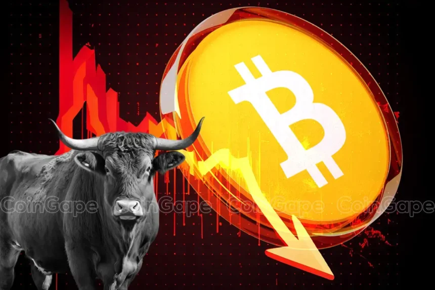 Crypto Market: Is This the End of Bitcoin Bull Run?