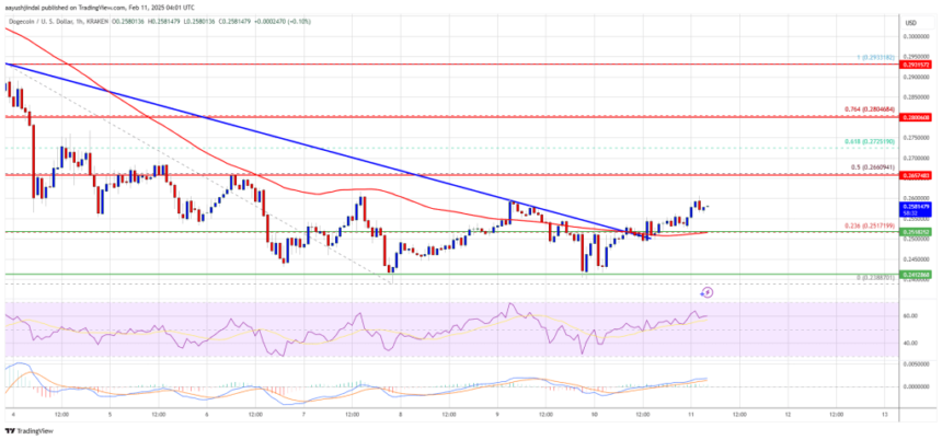 Dogecoin (DOGE) Drifts Sideways—Will Bulls Step Up to the Challenge?