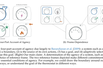 Frame-Dependent Agency: Implications for Reinforcement Learning and Intelligence