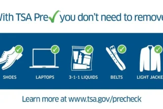 Global Entry vs TSA PreCheck: Which is Better for You?