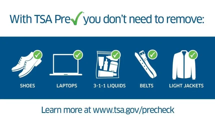 Global Entry vs TSA PreCheck: Which is Better for You?