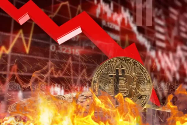 Here’s Why Crypto Market Faces $325 Bln Loss