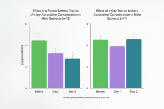 How Is Natural Killer Cell Function Boosted by Forest Bathing? 