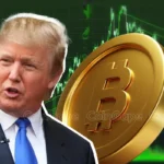 Just In: Donald Trump Clarifies Start Date For Tariffs on Mexico & Canada, Bitcoin To $80K?