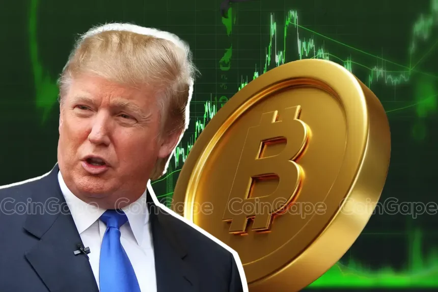 Just In: Donald Trump Clarifies Start Date For Tariffs on Mexico & Canada, Bitcoin To $80K?