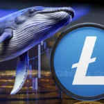 Litecoin Whales Quietly Accumulate $130M as Price Flatlines – Is a Breakout Imminent?