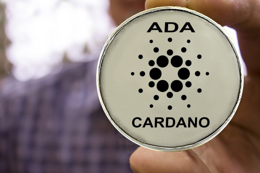 *NEW* New Meme Coin Poised To Outperform Cardano and Solana in 2025