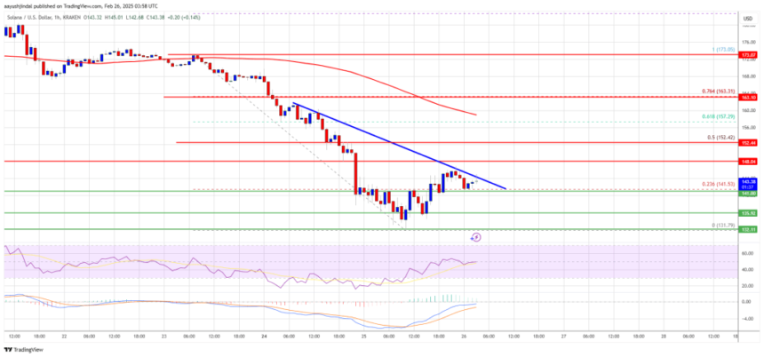 Solana (SOL) Sees Red—What’s Next for the Price?