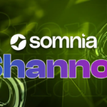 Somnia launches Shannon testnet to Provide Developers with Internet-Scale Infra for dApps