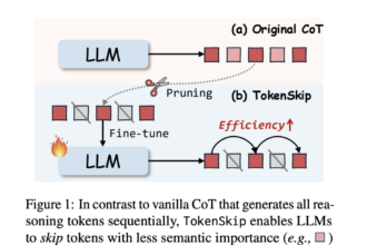 TokenSkip: Optimizing Chain-of-Thought Reasoning in LLMs Through Controllable Token Compression