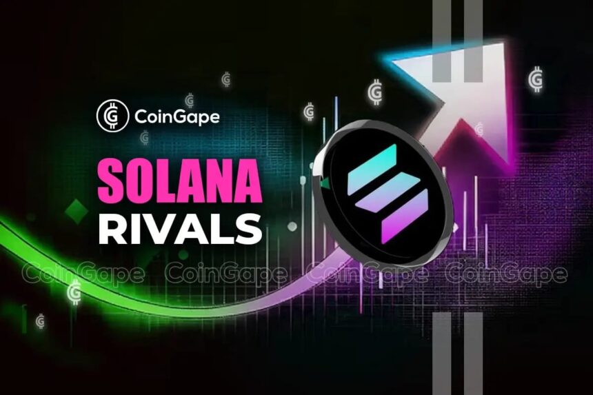 Top 4 Solana Rivals to Transform $100 to $1000 this February