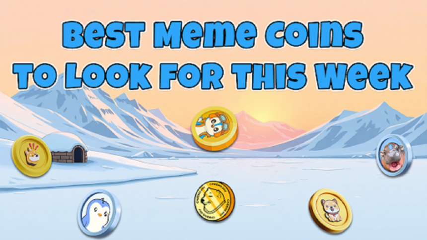 Unveiling the 6 Best 100x Crypto Moonshots along with a Top Meme Coin Presale to Invest in Today