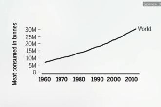 What Are the Environmental Impacts of Plant-Based Meats? 