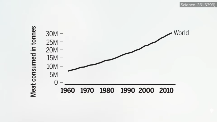 What Are the Environmental Impacts of Plant-Based Meats? 