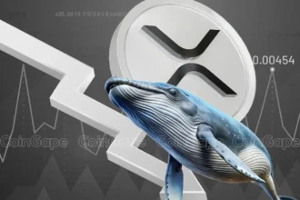 XRP News: Ripple Whales Dump 70M Coins Amid Pro-XRP Lawyer’s XRP Crash Hint