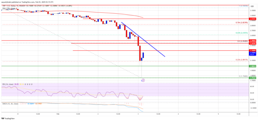 XRP Price Crashes Hard: Is There a Recovery in Sight?