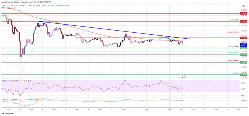 XRP Price Uptrend Hits a Snag—Is a Fresh Increase Still Possible?