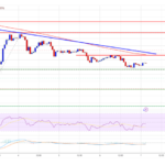 XRP Price Weakens Gradually: Can It Find Support?