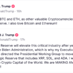 Amid US Treasury Crypto Reserve Split Opinions, Could It Mean Good News for Best Meme Coins Like Meme Index?