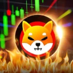 Analyst Forecasts 500% Rally For Shiba Inu Price But SHIB Burn Rate, Shibarium TVL Pose Risks