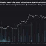 Binance Whales Cash Out as Bitcoin Drops—More Downside Ahead?