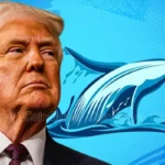 Bitcoin Whale’s $380M Short In Danger Amid Trump Insider Speculation