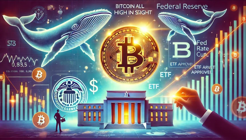 Bitcoin Whales and Sharks Reduce Holdings by Over 57,000 BTC