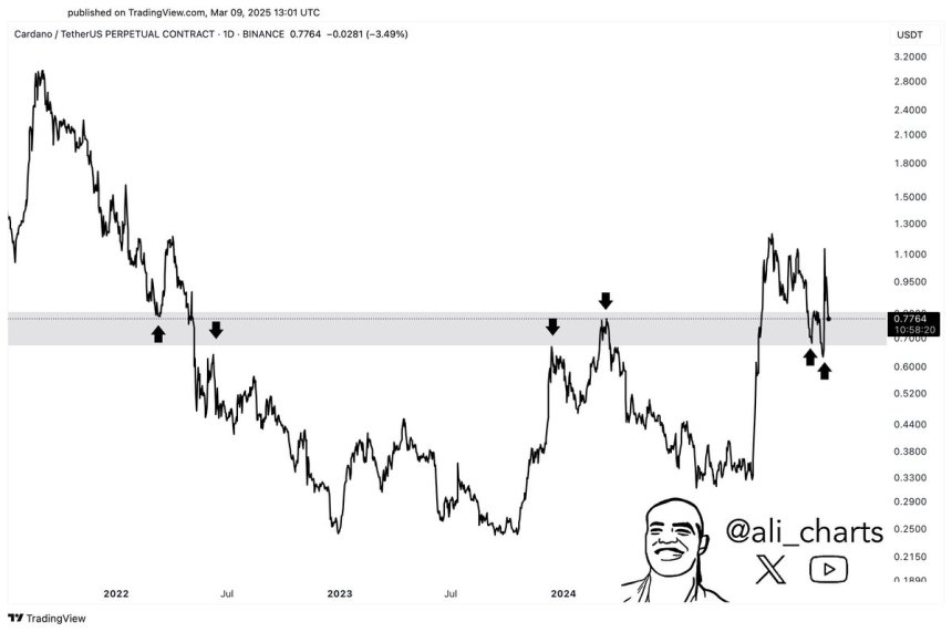 Charts Reveal Cardano Holds Key Support Zone – Staying Above Could ‘Set The Next Move’