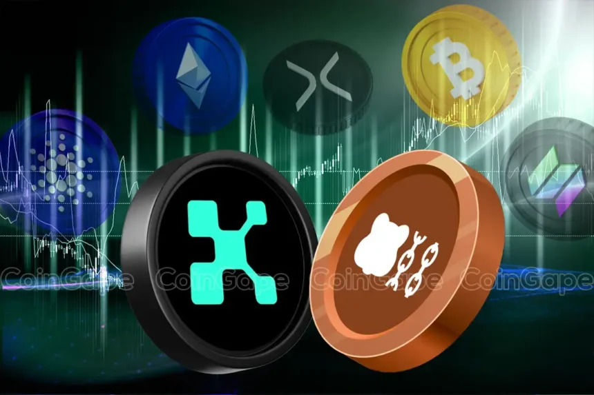 Crypto Prices Today: KAITO, BERA Up Double Digits, BTC, ETH, SOL, ADA, XRP Prices Rally