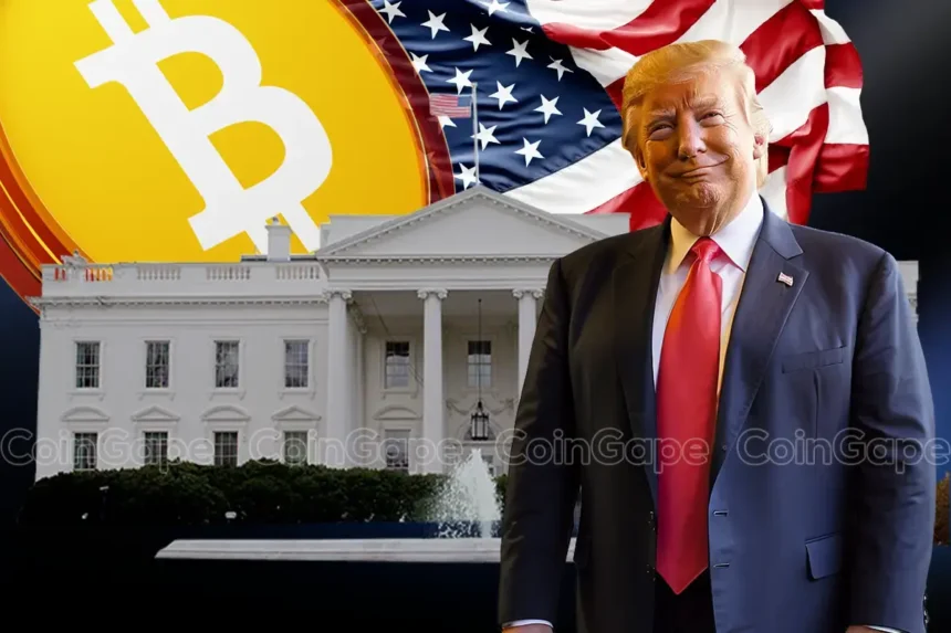 Crypto Summit Highlights: Donald Trump Reveals Major Plans for Crypto industry