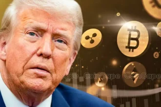 Cryptocurrencies Price Prediction as Trump Explores Zero Tax Gains For USA Coins