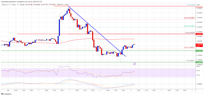 Dogecoin (DOGE) Attempts Rebound—Will Recovery Gain Momentum?