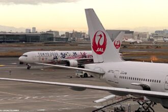 Family Sues Delta Air Lines & Japan Airlines Over Seattle Ground Collision