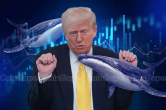 Here’s How Trump’s Crypto Insider Whale Netted $81M in Profits in 2 Days 