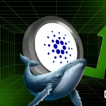 Is Cardano Price Set to Hit $1 as Whales Buy 40M ADA?